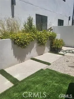 a view of backyard with plants