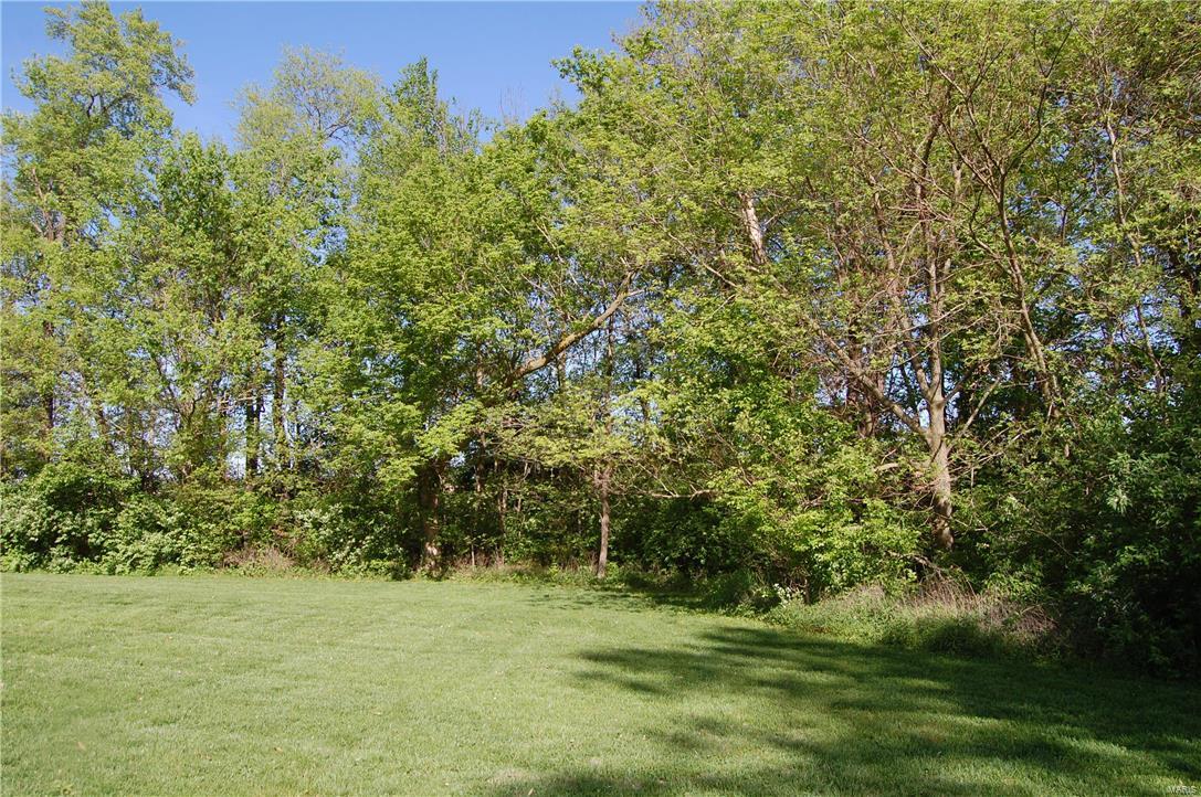 6704 Moro Road Edwardsville, IL 62025 - Photo 44 of 52 Gallery Image 44