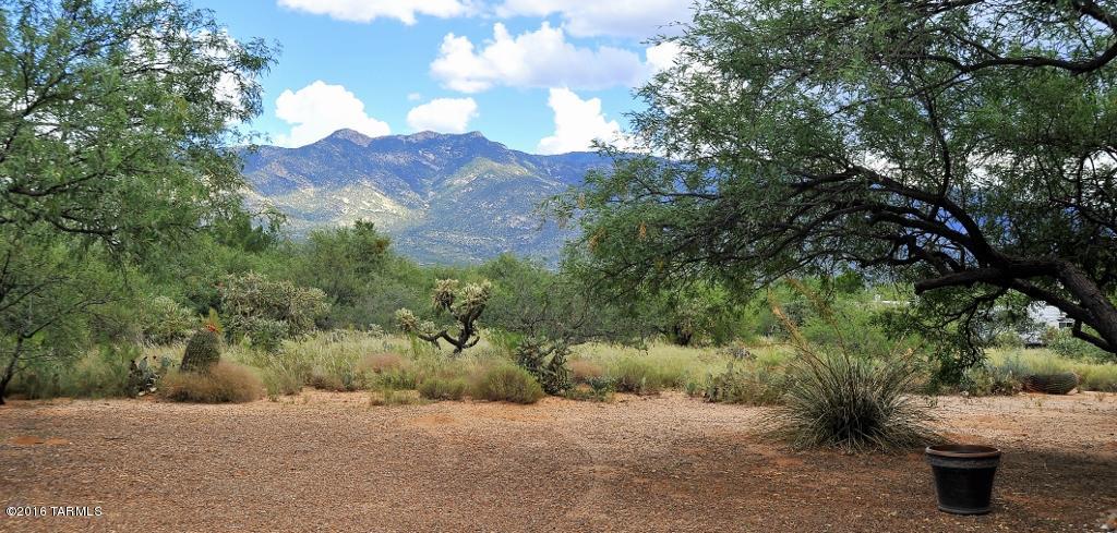4740 East Wagon Train Road Tucson, AZ 85739 - Photo 6 of 35 Gallery Image 6