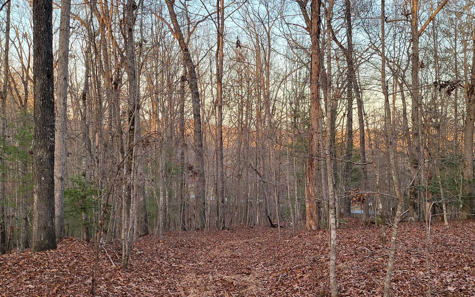 45-acs New Hope Road Morganton, GA 30560 - Photo 52 of 72 Additional View