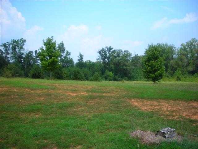 1751 Reedy Fork Road Pelzer, SC 29669 - Photo 5 of 8