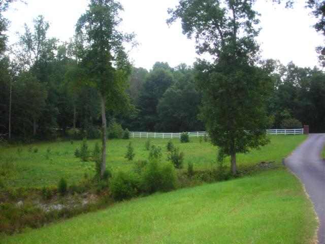 1751 Reedy Fork Road Pelzer, SC 29669 - Photo 6 of 8