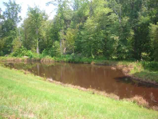 1751 Reedy Fork Road Pelzer, SC 29669 - Photo 8 of 8