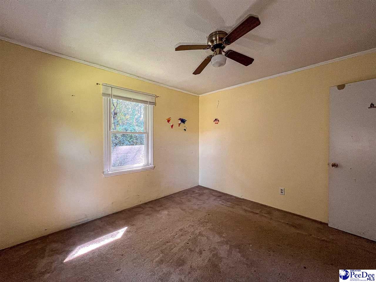 2398 State Rd S-14-28 Alcolu, SC 29001 - Photo 37 of 51 Gallery Image 37
