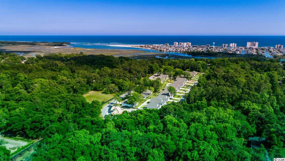 1124 Inlet View Drive North Myrtle Beach, SC 29582 - Photo 22 of 39 Gallery Image 22