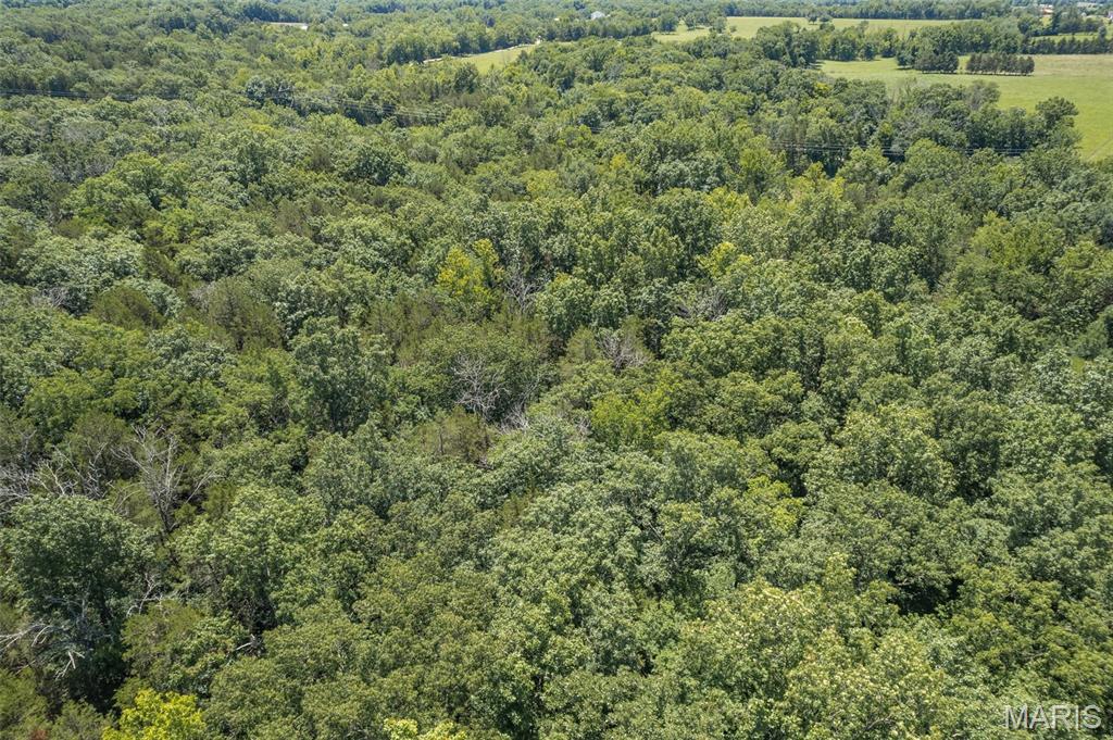 1175 3 Rivers Road Bonne Terre, MO 63628 - Photo 26 of 32 Gallery Image 26
