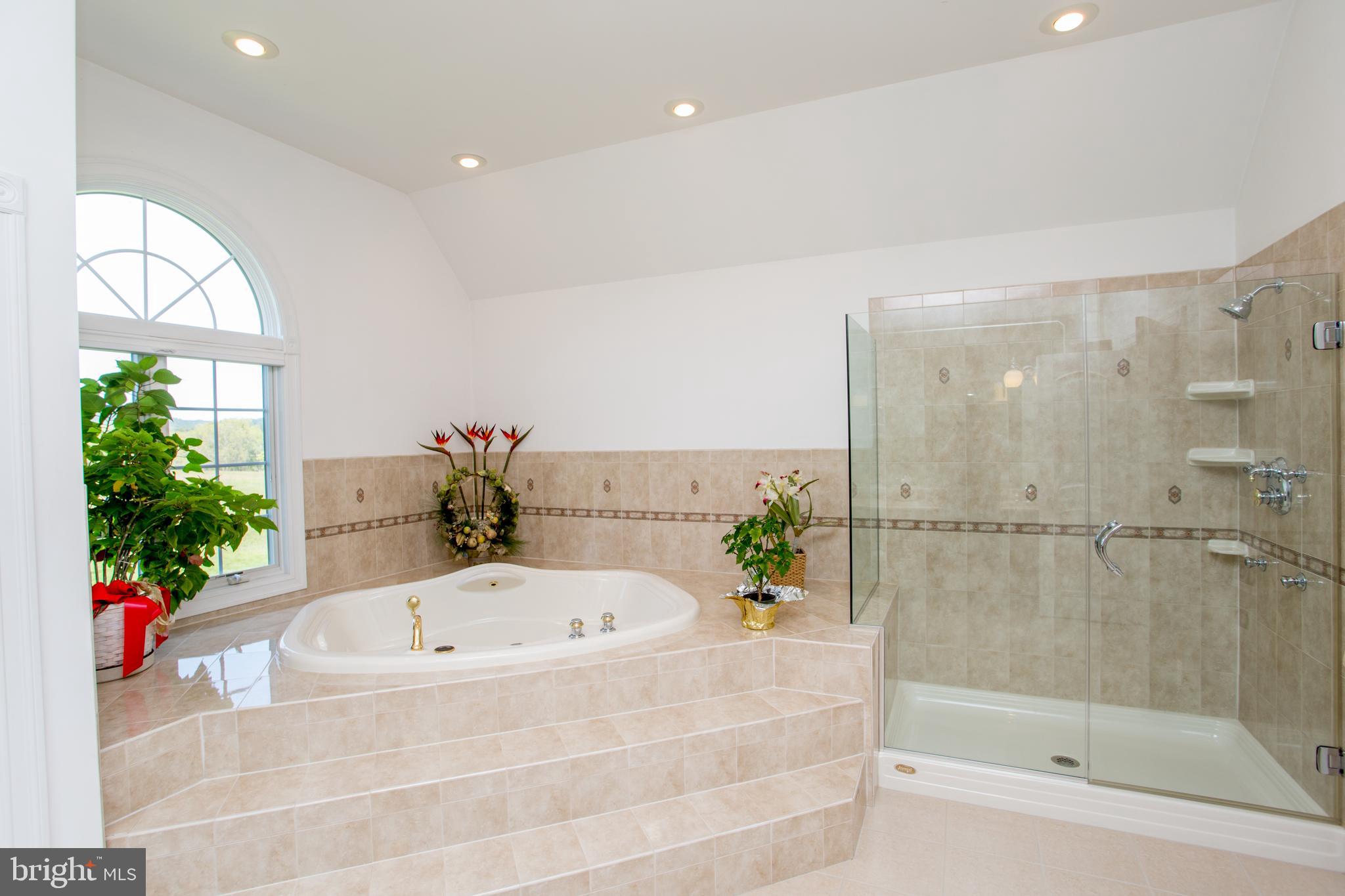 95 Rummel Road Milford, NJ 08848 - Photo 44 of 62 Jetted tub for two & walk-in glass shower