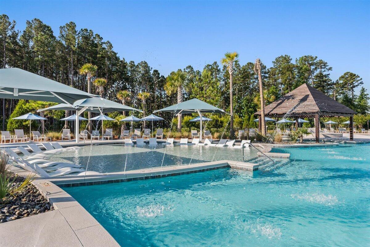 729 Blue Iris Way Summerville, SC 29486 - Photo 3 of 6 Del Webb Pool4