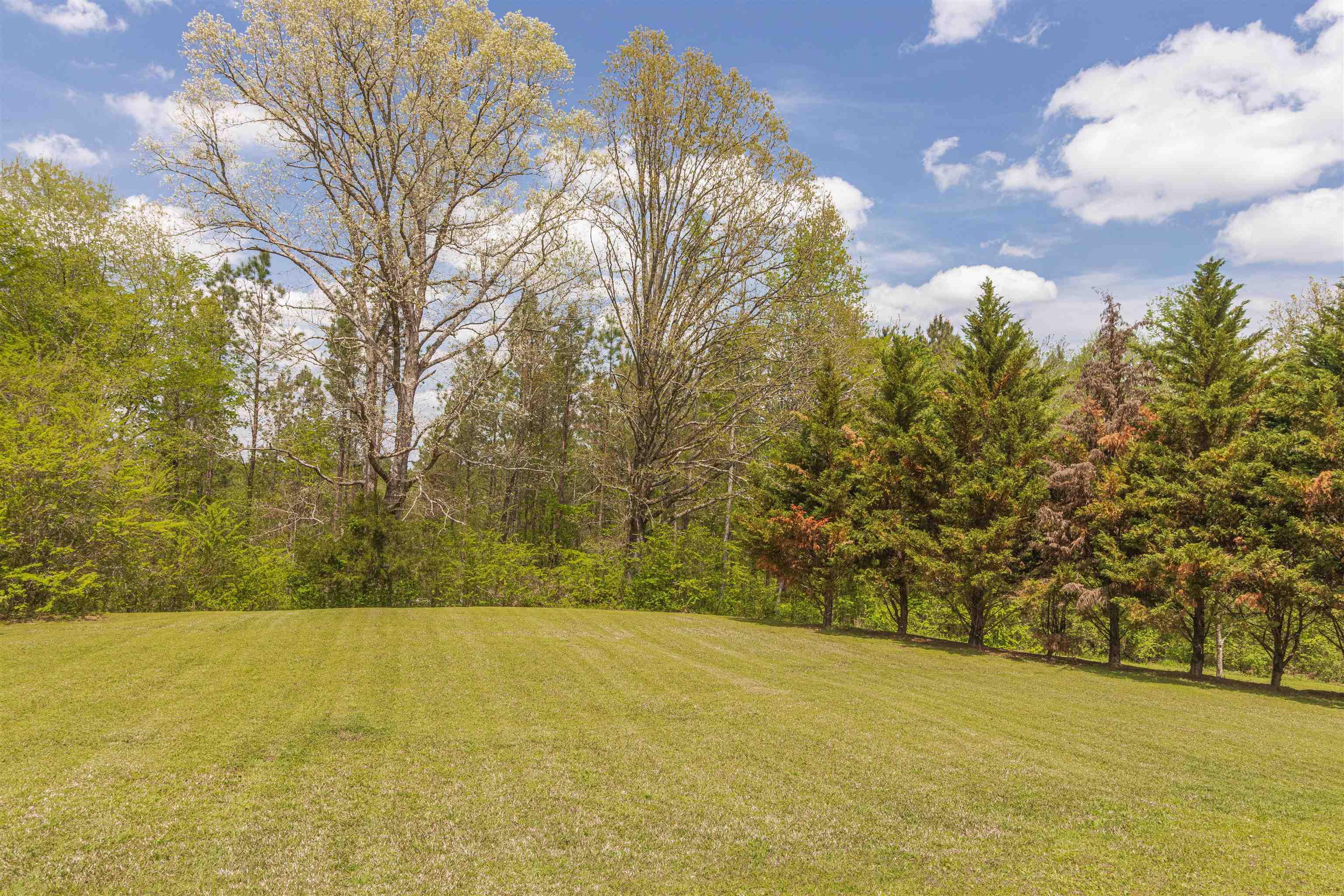 2119 Dunaway Road Selmer, TN 38375 - Photo 29 of 32 Gallery Image 29