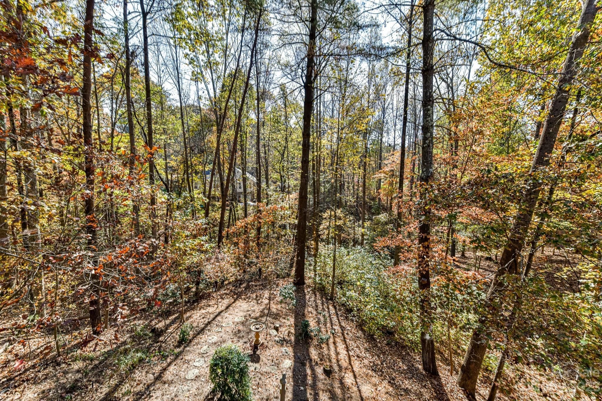 151 Maple View Drive Troutman, NC 28166 - Photo 42 of 43