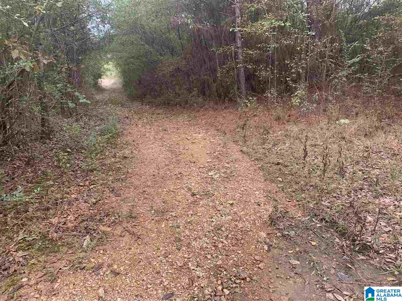 0 Homestead Drive, Unit 1 Springville, AL 35146 - Photo 16 of 32