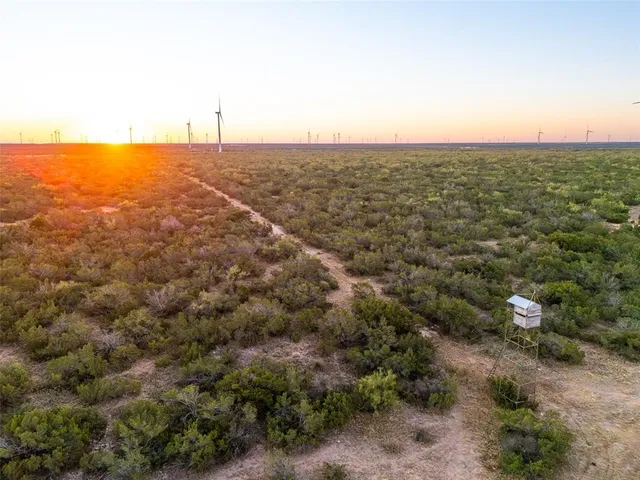 $1,576,800 | Tbd Walnut Road, Robert Lee, TX 76945