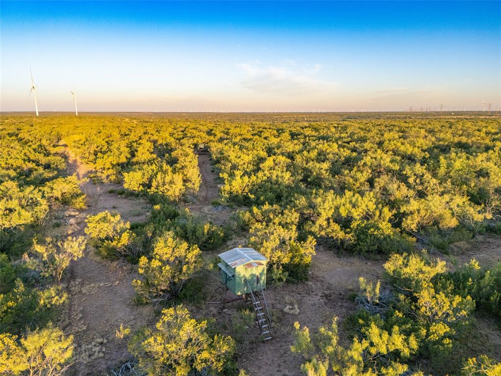 Tbd Walnut Road Robert Lee, TX 76945 - Photo 11 of 28 Drone / aerial view