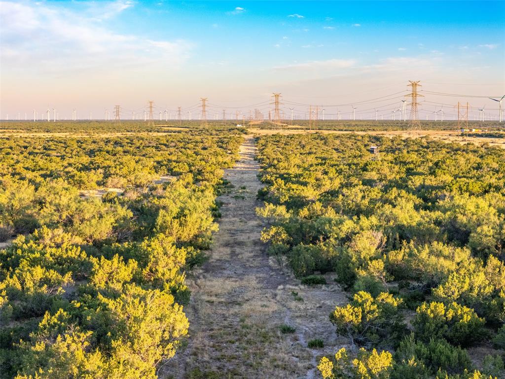 Tbd Walnut Road Robert Lee, TX 76945 - Photo 12 of 28 Aerial view