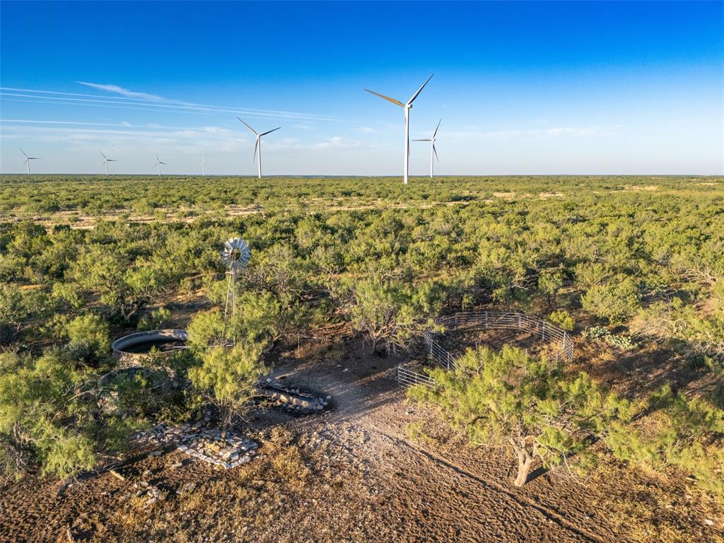Tbd Walnut Road Robert Lee, TX 76945 - Photo 16 of 28 Drone / aerial view of a forest