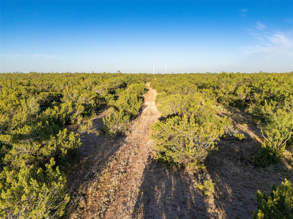 Tbd Walnut Road Robert Lee, TX 76945 - Photo 17 of 28 Aerial view