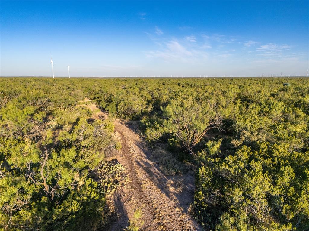Tbd Walnut Road Robert Lee, TX 76945 - Photo 18 of 28 Drone / aerial view of a heavily wooded area