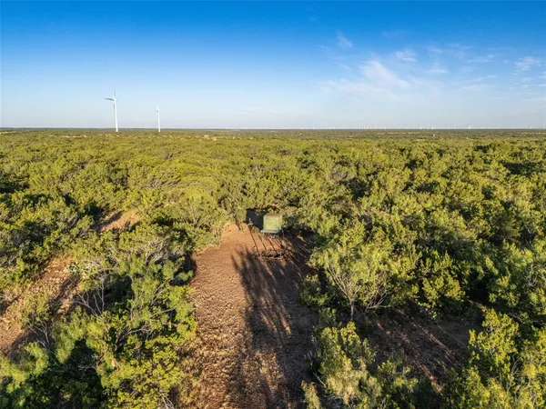 $1,642,500 | Tbd Walnut Road, Robert Lee, TX 76945