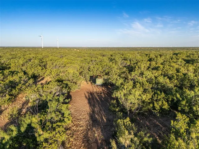 $1,576,800 | Tbd Walnut Road, Robert Lee, TX 76945