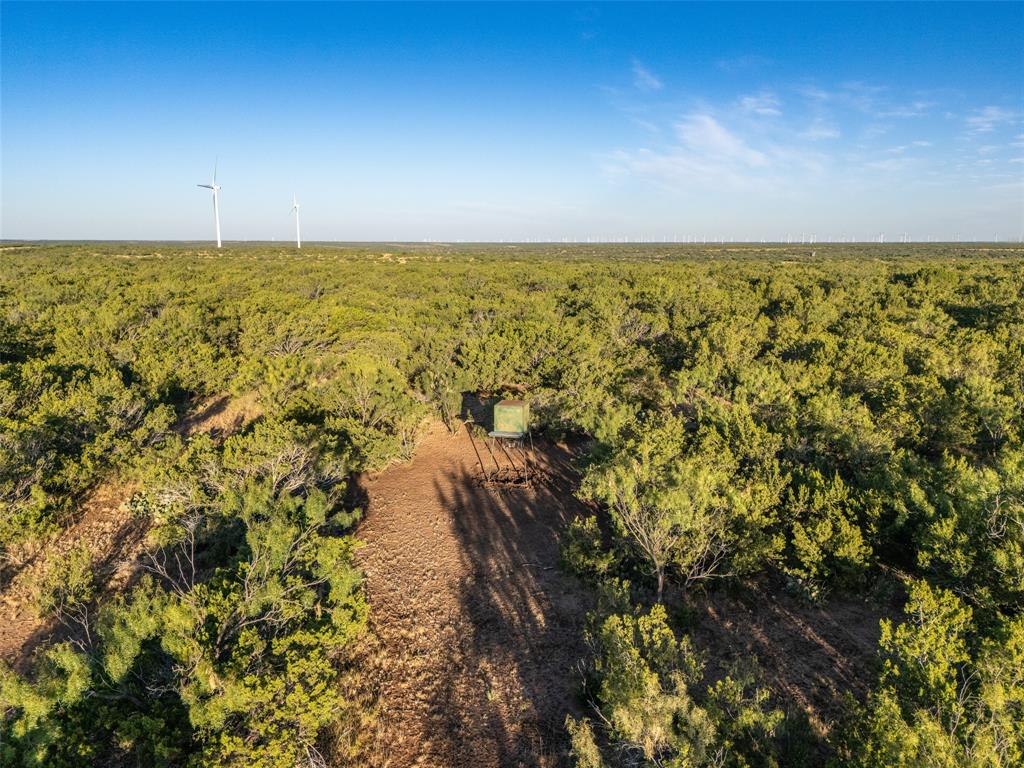 Tbd Walnut Road Robert Lee, TX 76945 - Photo 19 of 28 Drone / aerial view of a forest