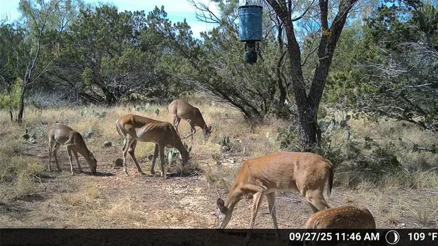 $1,576,800 | Tbd Walnut Road, Robert Lee, TX 76945