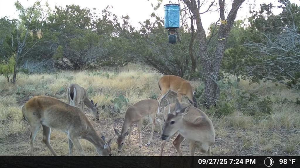 Tbd Walnut Road Robert Lee, TX 76945 - Photo 22 of 28 Exterior view