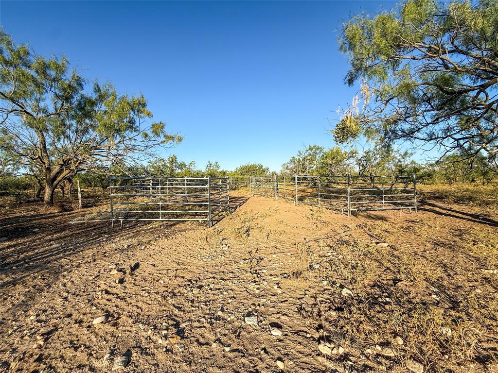 Tbd Walnut Road Robert Lee, TX 76945 - Photo 25 of 28 View of yard with a view of countryside