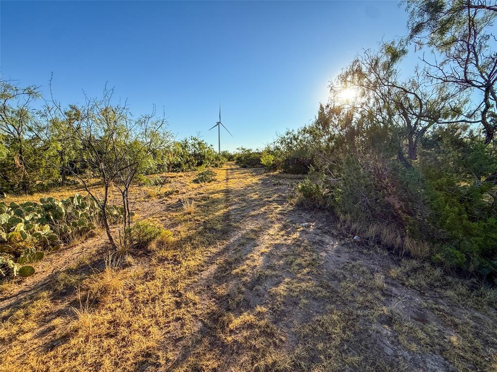 Tbd Walnut Road Robert Lee, TX 76945 - Photo 26 of 28 View of street