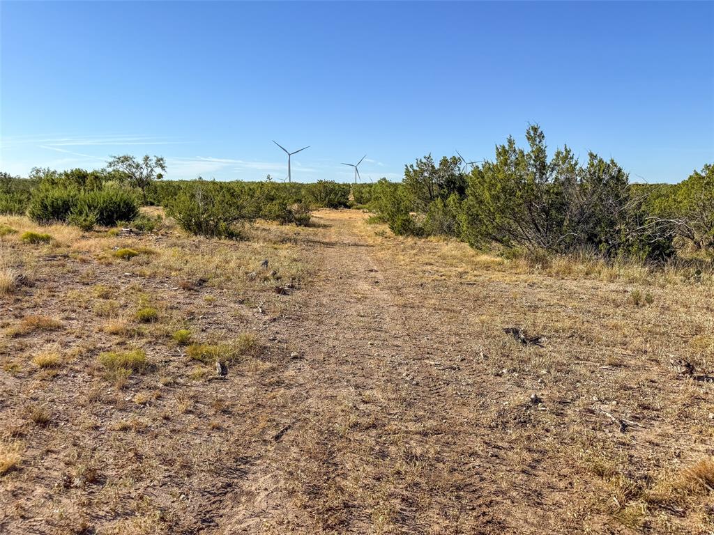Tbd Walnut Road Robert Lee, TX 76945 - Photo 27 of 28 View of local wilderness featuring rural landscape