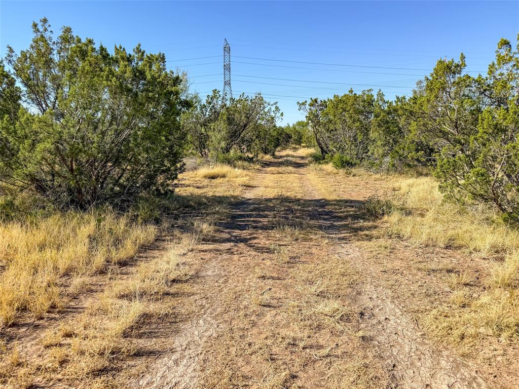 Tbd Walnut Road Robert Lee, TX 76945 - Photo 28 of 28 View of dirt / gravel road