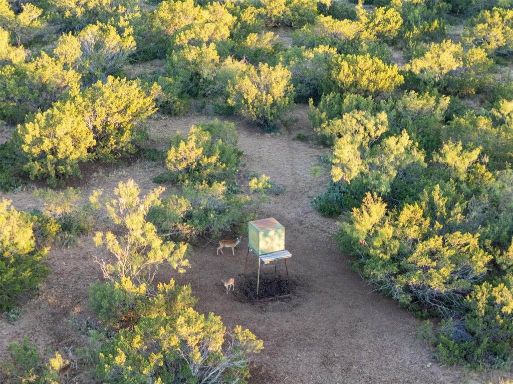 Tbd Walnut Road Robert Lee, TX 76945 - Photo 6 of 28 Aerial view