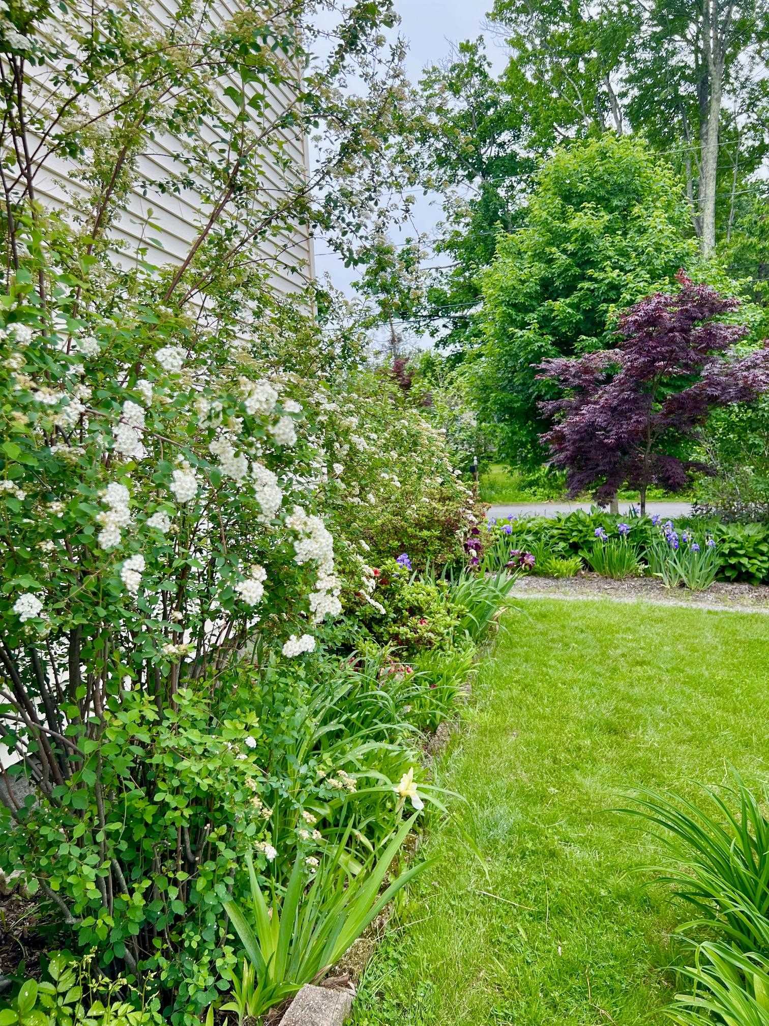 29 Spaulding Street Milford, NH 03055 - Photo 10 of 60