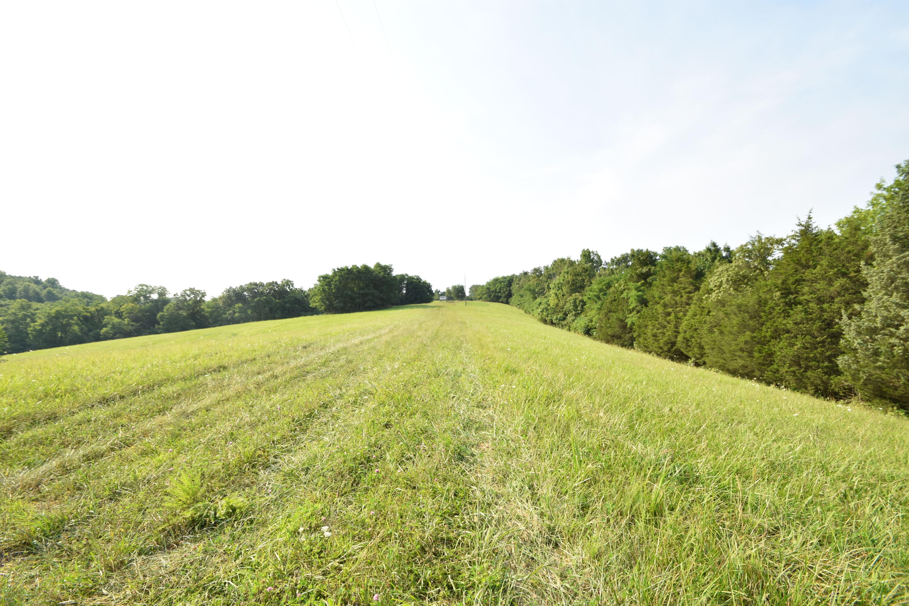 580 Fallis Run Road Harrodsburg, KY 40330 - Photo 20 of 43 DSC_0342