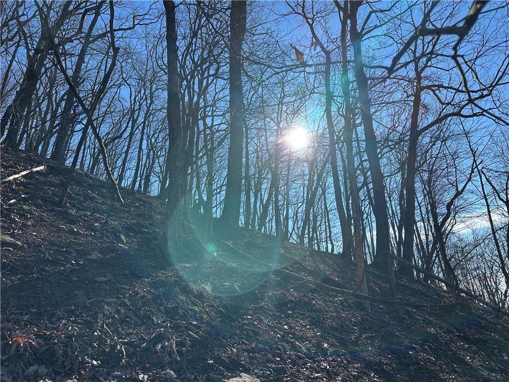 Lt1535 Moss Patch Trail Jasper, GA 30143 - Photo 2 of 26