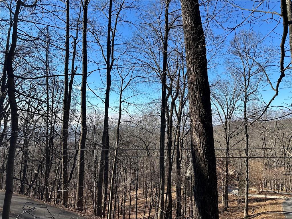 Lt1535 Moss Patch Trail Jasper, GA 30143 - Photo 4 of 26