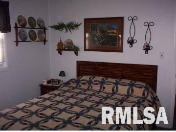 3545 Deer Ridge Road Goreville, IL 62939 - Photo 3 of 7