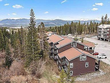 10000 Ryan Gulch Road, Unit 116 Silverthorne, CO 80498 - Photo 3 of 25