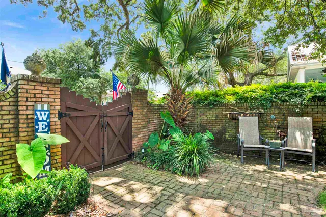 a view of a yard with plants and trees