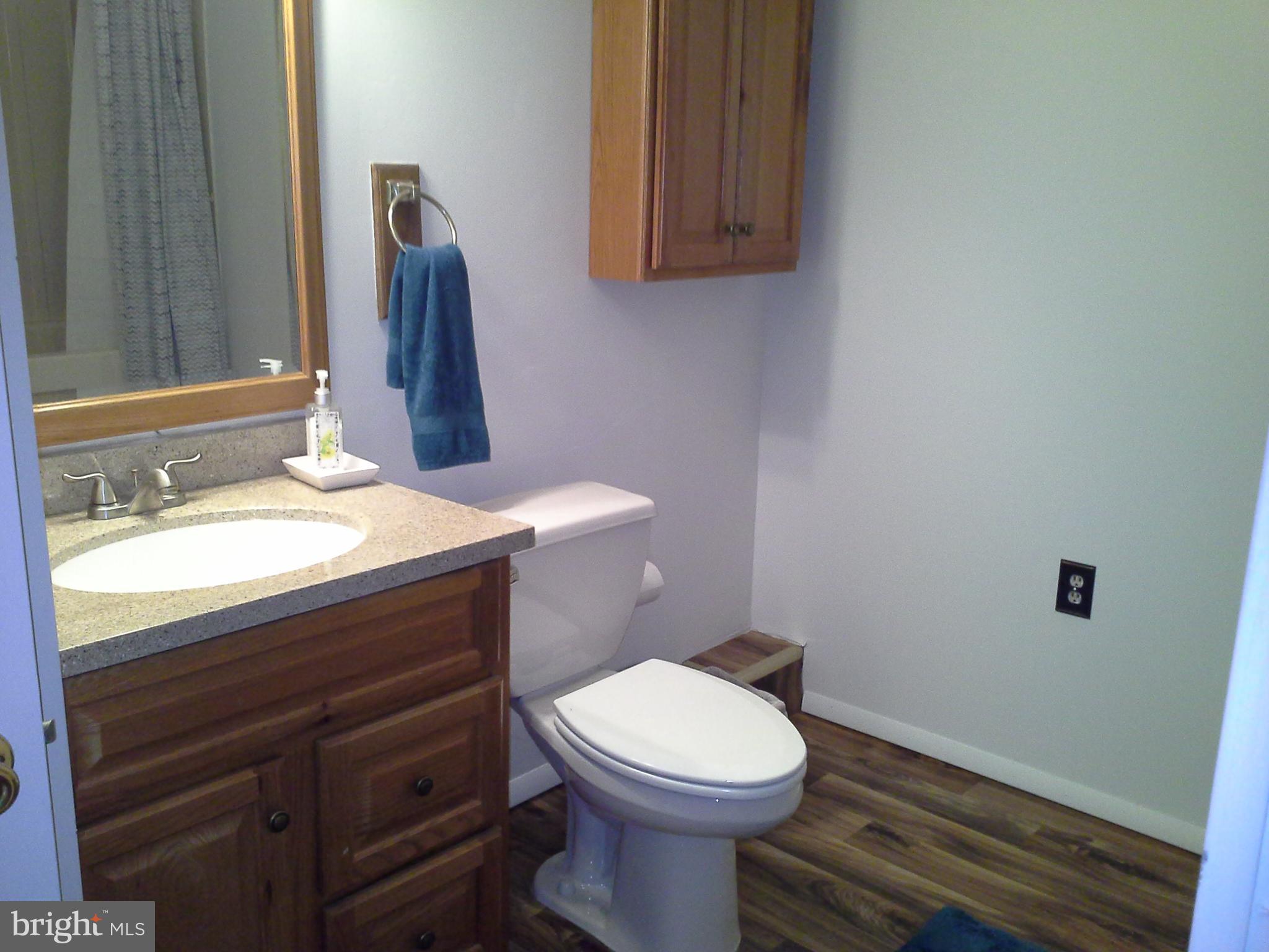 9315 Beowulf Circle Baltimore, MD 21237 - Photo 25 of 28 Full bath and bedroom on lower level