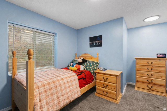 1625 Pages Pl Drive Bountiful, UT 84010 - Photo 28 of 31 Carpeted bedroom with baseboards and a textured ceiling