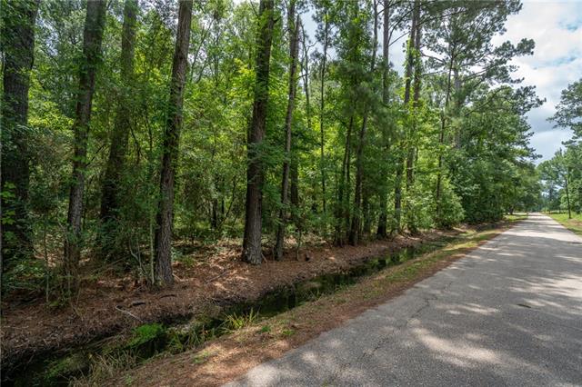 0 Chill Blue Springs Road Hammond, LA 70401 - Photo 2 of 3