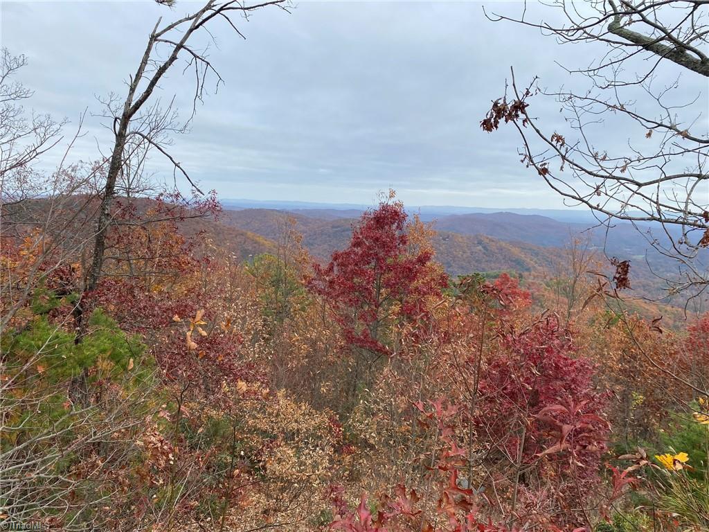 Lot 29 Sparta Road McGrady, NC 28649 - Photo 1 of 18 Gallery Image 1