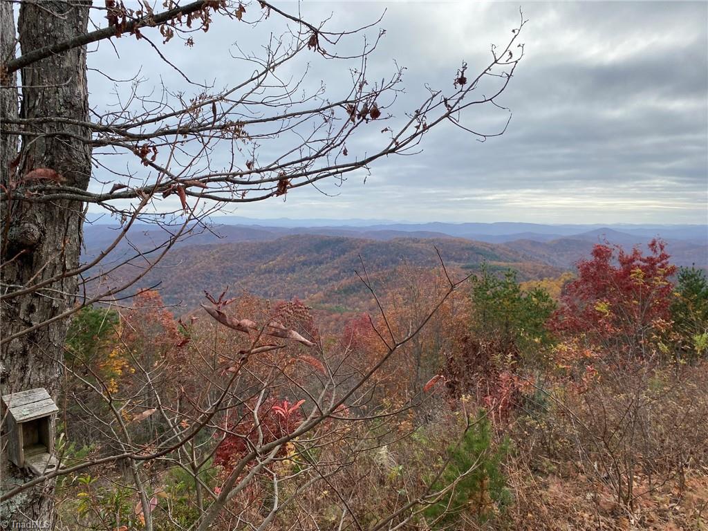 Lot 29 Sparta Road McGrady, NC 28649 - Photo 2 of 18 Gallery Image 2