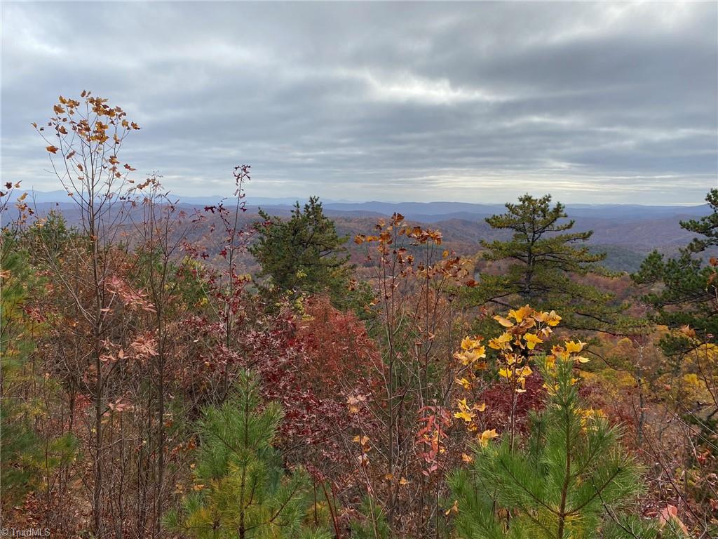 Lot 29 Sparta Road McGrady, NC 28649 - Photo 5 of 18 Gallery Image 5