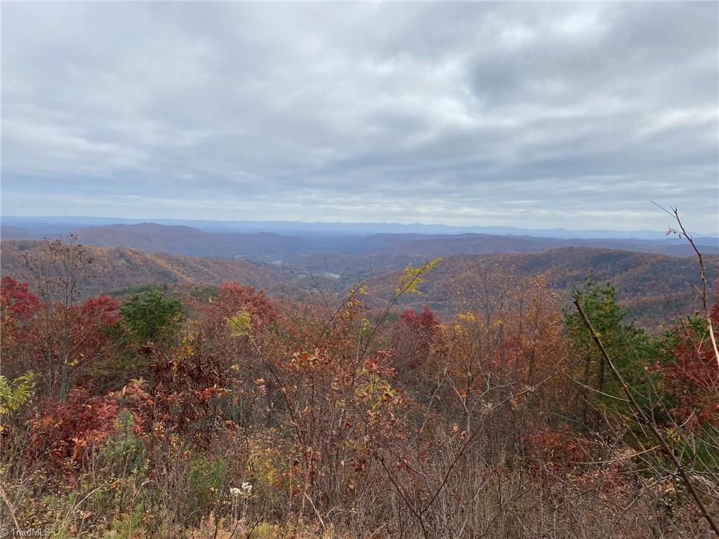 Lot 29 Sparta Road McGrady, NC 28649 - Photo 8 of 18 Gallery Image 8