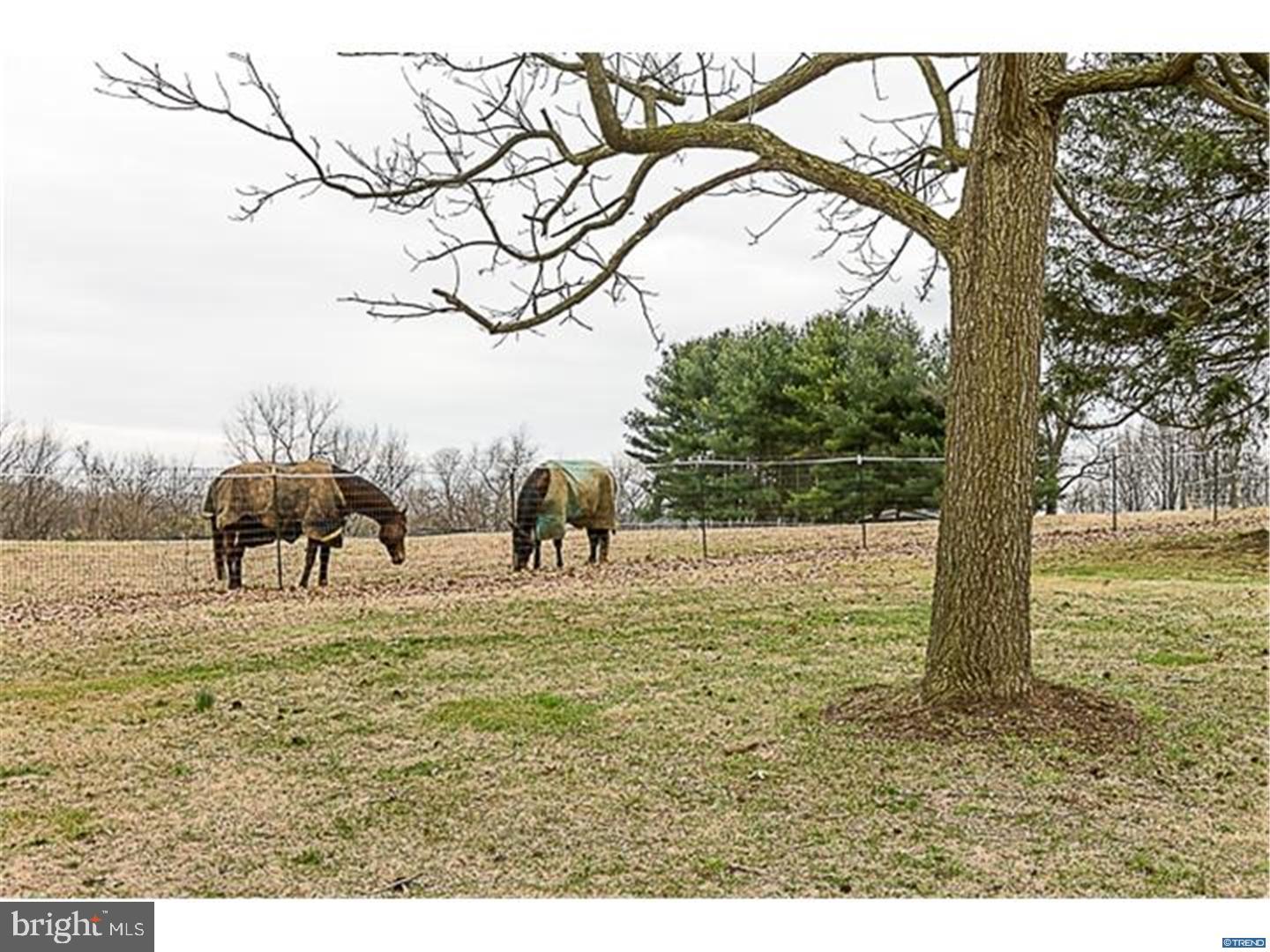 244 Landenberg Road Landenberg, PA 19350 - Photo 20 of 22