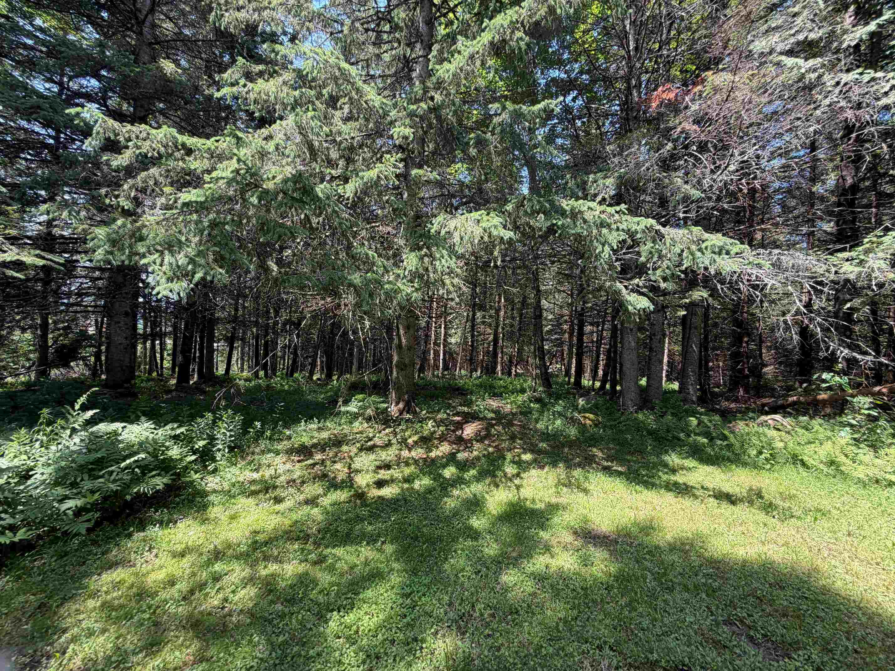 1090 Center Road, Unit LOT #3 Albany, VT 05845 - Photo 9 of 9