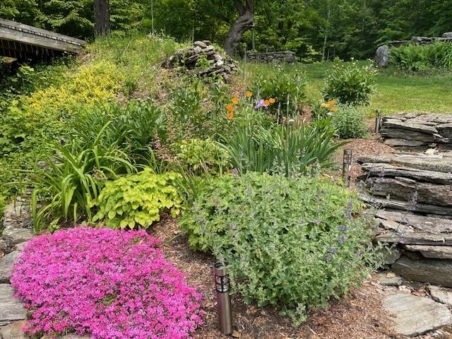 956 Old Cheney Road Windham, VT 05359 - Photo 35 of 47