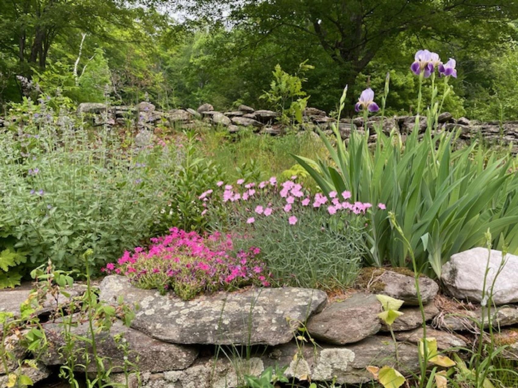 956 Old Cheney Road Windham, VT 05359 - Photo 37 of 47