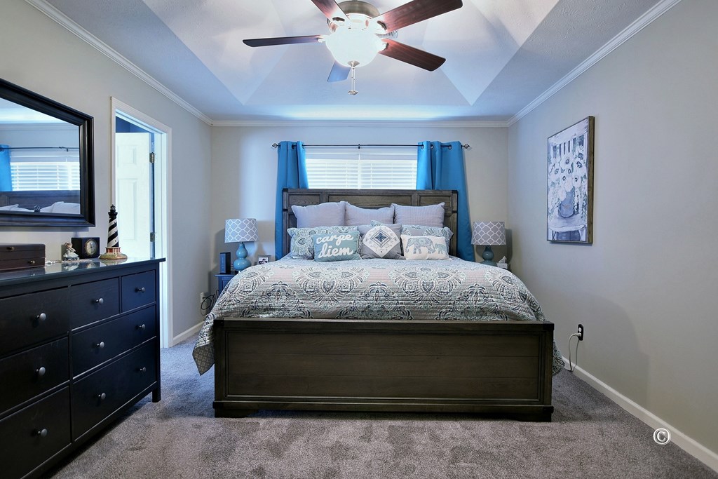 4926 Cedar Ridge Court Columbus, GA 31909 - Photo 18 of 25 Primary suite with trey ceiling